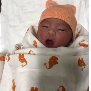 Meet your Posher, Penny